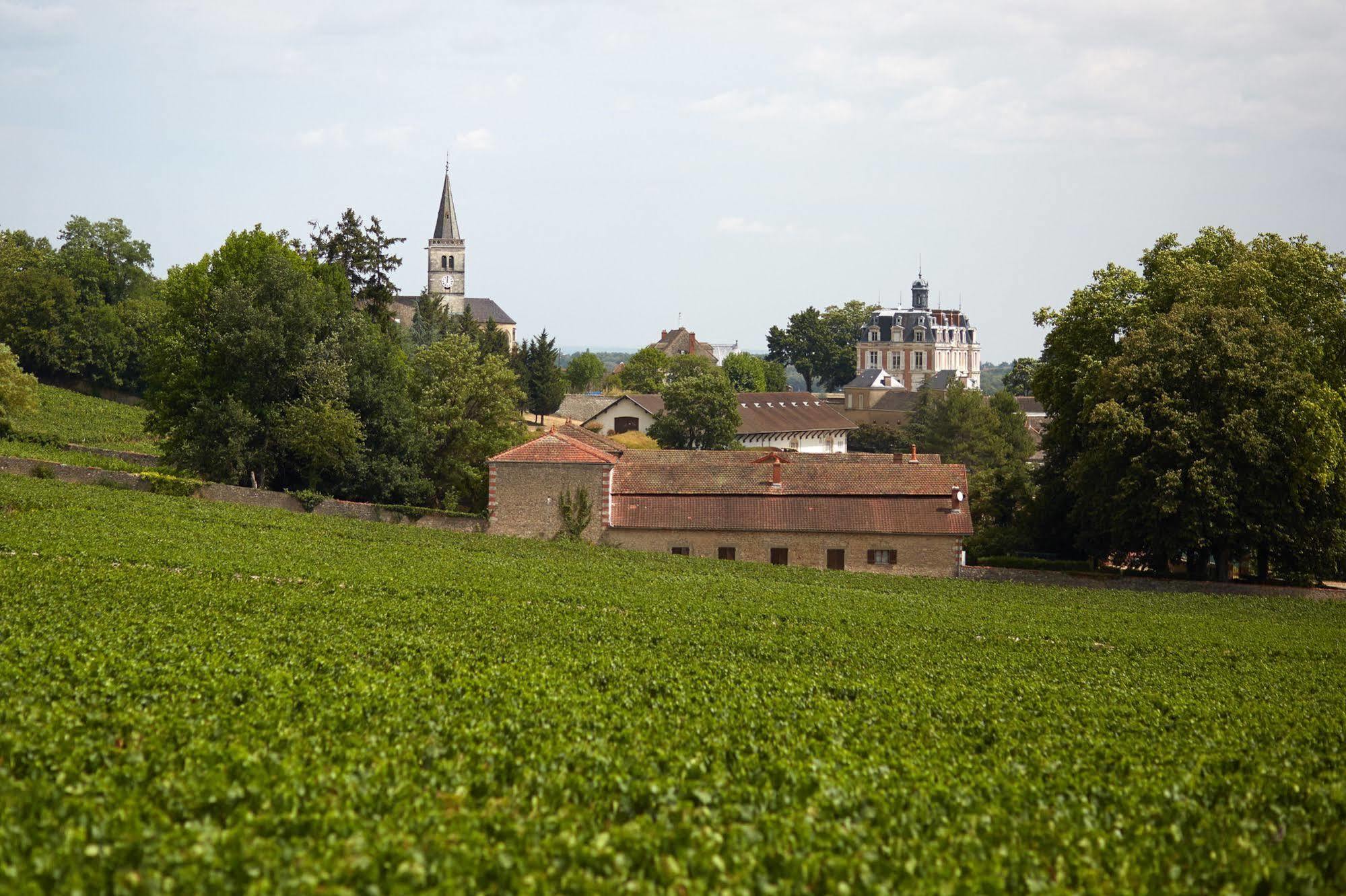 Château Saint-Michel - Cercle des Grands Crus Rully  Extérieur photo